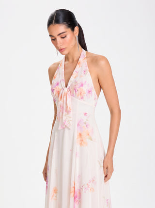 ISOLDE Floral Dress – Blush Blossom