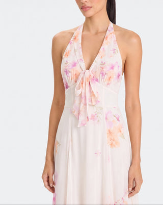 ISOLDE Floral Dress – Blush Blossom